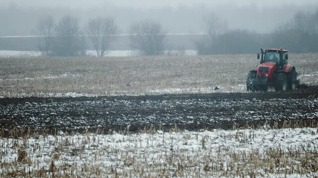 Tractor untimely plows snow-covered farmland in the spring. Risky farming in adverse weather conditions. Stork passes near a farm vehicle in search of food