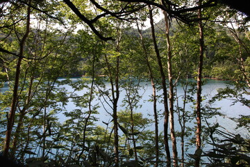 志賀高原の夏。大沼池：志賀高原最大の沼。