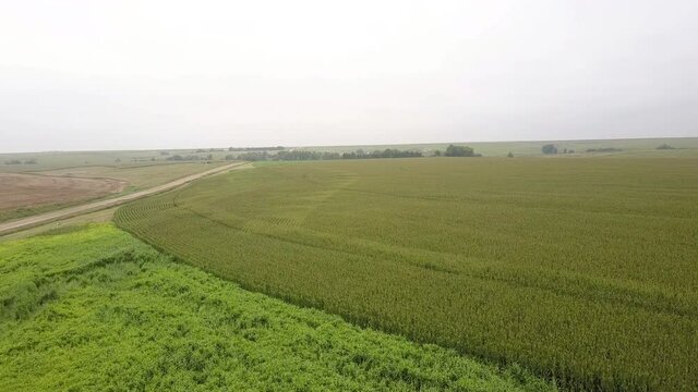 Aerial Forward Shot Of Beautiful Shot Of Agricultural Field Against Clear Sky - Oakley, Kansas
