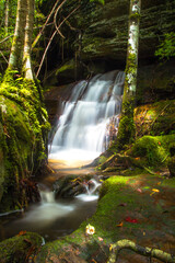 Obraz premium waterfall in the forest