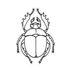 Fototapeta premium dung beetle, scarabaeus, ancient egypt sacred symbol, vector illustration with black ink contour lines isolated on a white background in a cartoon and hand drawn style