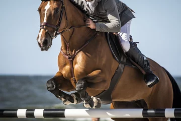 Deurstickers Horse Jumping, Equestrian Sports, Show Jumping themed photo. © Marcin Kilarski/Wirestock