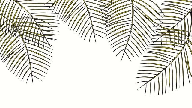 Coconut palm leaves, tropical summer frame and floral background animation. Seamless loop. Luma matte. Golden yellow branches.