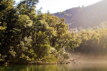 lake in the forest, during morning, in Chubut, Patagonia Argentina