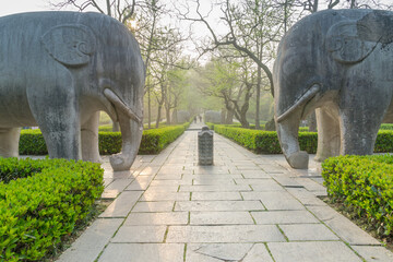 Ming Xiaoling scenic spot in Nanjing, China, with cherry blossoms in full bloom in spring.