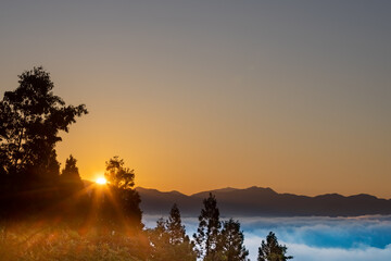 Fototapeta na wymiar 春の山の朝日、朝焼けと美しい雲海