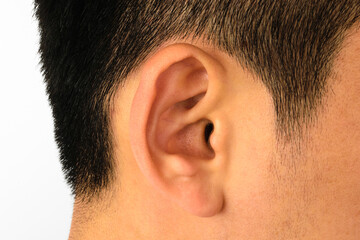 Obraz premium human ear. part of a person's body