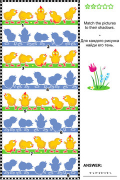 Visual puzzle or picture riddle: Match the pictures of chicks rows to their shadows. Answer included.
