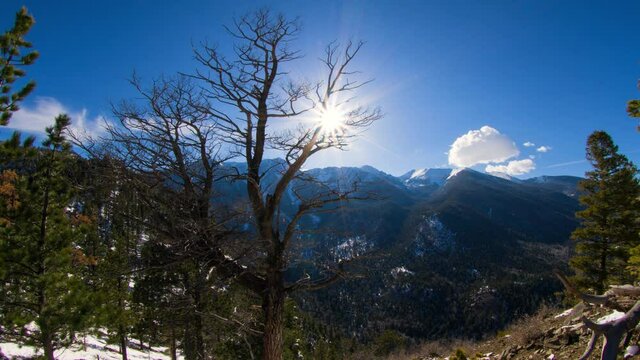 Lockdown Shot Of Beautiful View Of Bare Trees Over Snowy Mountains Against Blue Cloudy Sky On Sunny Day - Hayden Pass, Colorado