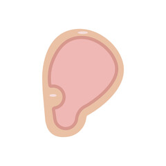 Simple ear. Earlobe vector illustration. Part of body symbol icon