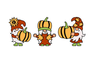 Fototapeta premium Three gnomes with pumpkins, sunflower and fall leaves are on white background. Vector illustration.