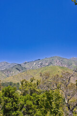 Fototapeta premium Andrew Molera state park, Big Sur, hiking, California, landscape, mountain, nature, sky, autumn, forest, mountains, fall, green, blue, tree, view, hill, trees, cloud, valley, clouds, yellow, hills