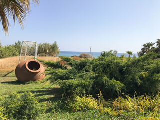 a large ceramic jug with green plants growing in it stands on the green grass. Protaras. Ayia Napa. Cyprus.