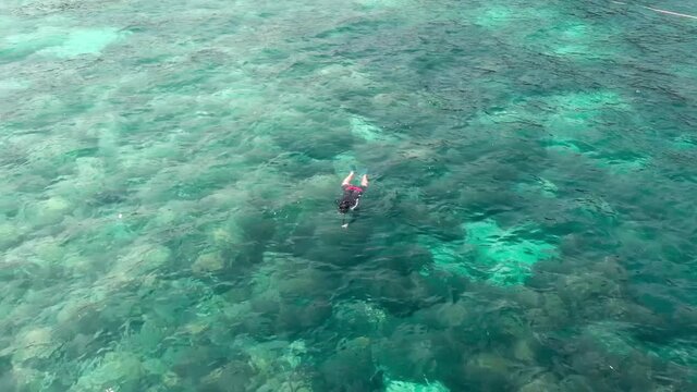 snorking time