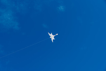 Colorful Kites flying over the sky