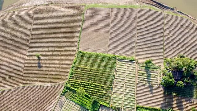 Drone View of Traditional Joom style cultivation by aboriginal people on riverbank of chengi in Khagrachari, Bangladesh