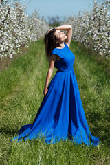 Obraz na płótnie Canvas Girl in a blue dress in an apple orchard
