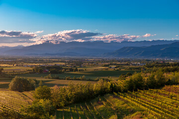 Spring sunset in the vineyards of Rosazzo