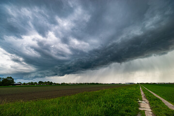 Fototapeta na wymiar Thunderstorm with developing arcus or shelf cloud over the Dutch countryside