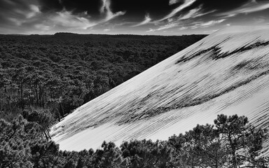 Le Monde vu depuis la dune du Pilat 