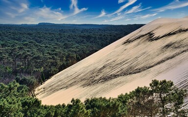 Le Monde vu depuis la dune du Pilat 