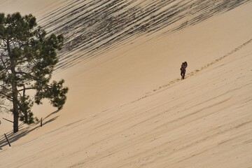 Le Monde vu depuis la dune du Pilat 
