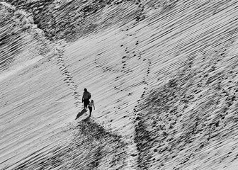 Le Monde vu depuis la dune du Pilat 
