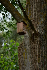bird house on tree