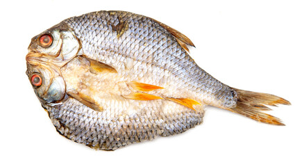 Dried fish isolated on a white