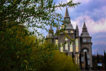 Fototapety na wymiar - Fototapeta24.pl