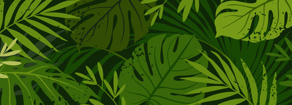 Green background with tropical plant leaves and texture. Editable vector template for wallpaper, banner, invitations, flyers, advertisements, posters