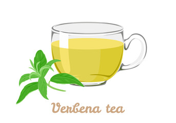 Verbena herbal tea and lemon verbena leaves isolated on white background. Healing drink in a glass cup. Vector illustration in cartoon flat style.