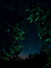 Fototapeta na wymiar a fascinating view of the starry sky and comet C.2020 F3 NEOWISE with a light tail. long-exposure photography, selective focus, banner. night shooting of a comet in the forest, focusing on the comet
