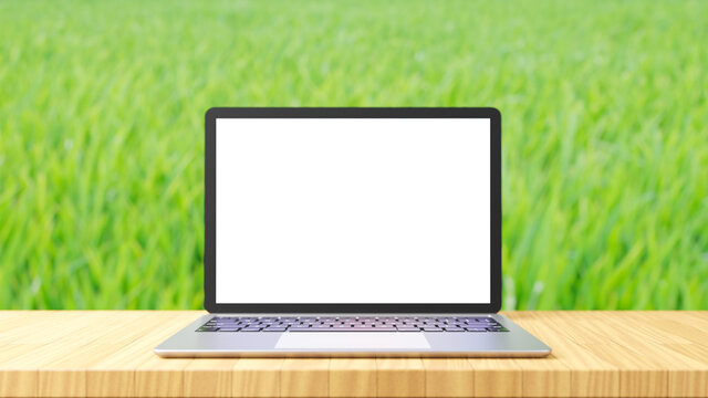 Laptop computer silver color place on wood table with green rice farm background. 3D illustration rendering image.