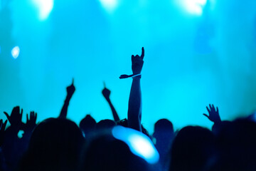 Rear view of crowd with arms outstretched at concert