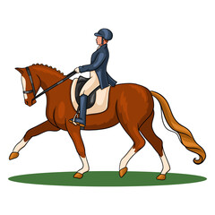 Horse Riding Woman Riding Dressage Horse in Cartoon Style
