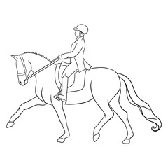 Horse Riding Woman Riding Dressage Horse in Line style
