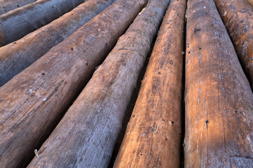 Large wooden logs for construction, felled tree trunks in large numbers. The concept of construction and forestry.