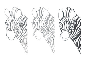 Naklejka premium Set of hand drawn stylized zebra figures. Line, dot and spot style design for poster, t shirt print, kids apparel, greeting card