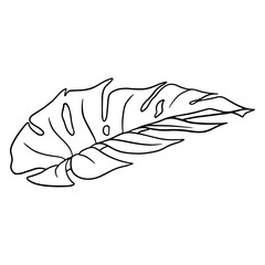 Tropical plants exotic carved green leaf in line style coloring book