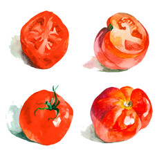 Red tomatoes watercolor isolated on white background set for all prints; Vegetable pattern. Hand painted.