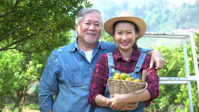 4k senior man and Young asian woman farmers while looking camera on the orchard .Concept of agricultural crops