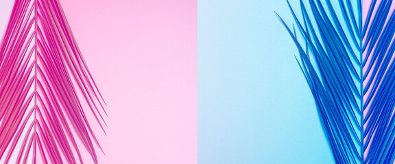 Branch of a palm tree on a light blue and pink background. Summer abstract wallpaper. Banner. Flat lay, top view