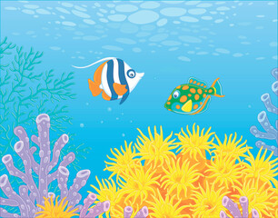 Fototapeta na wymiar Exotic small fishes swimming in blue water of a colorful coral reef in a tropical southern sea, vector cartoon illustration