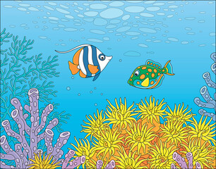Fototapeta na wymiar Exotic small fishes swimming in blue water of a colorful coral reef in a tropical southern sea, vector cartoon illustration