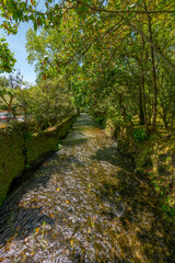 Fototapeta premium Landscape of Vila das Furnas - Azores