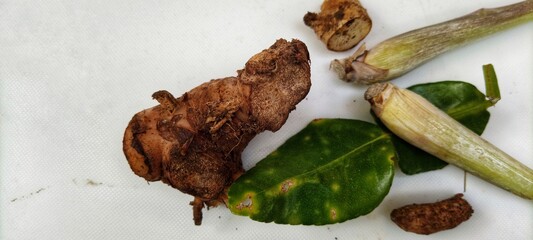 a collection of traditional Indonesian spices to make curry