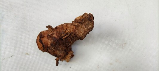 a collection of traditional Indonesian spices to make curry