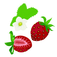 strawberry with leaves