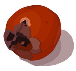 Persimmon. One ripe round orange fruit. Vector stock illustration.